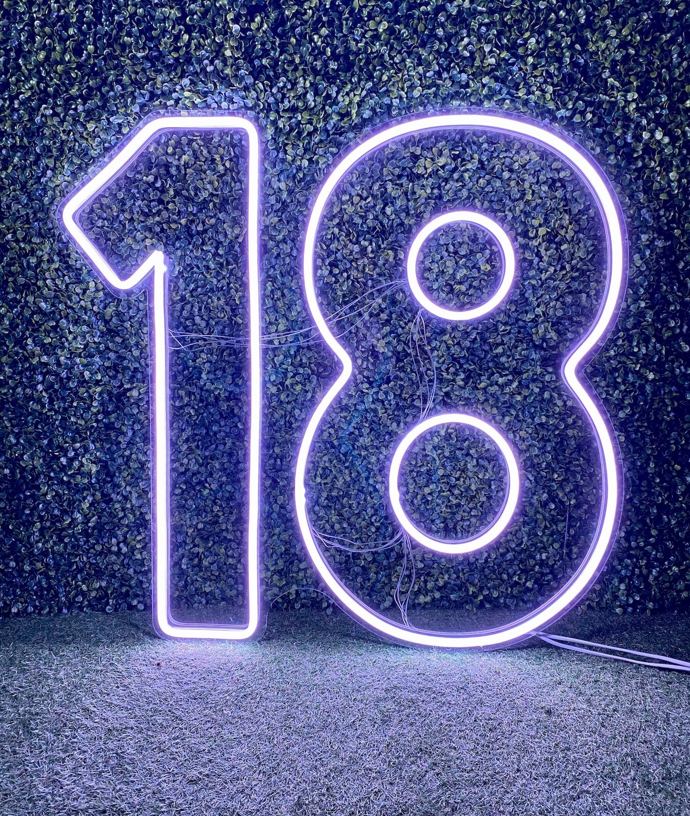 18 neon sign